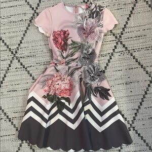 Ted Baker Pink and Black Floral Midi Dress